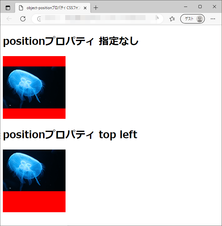 object-positionプロパティのchromeブラウザの実行結果